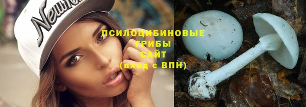 ECSTASY Кукмор